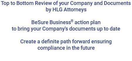 Top to Bottom Review of your Company and Documents by HLG Attorneys BeSure Business® action plan to bring your Company's documents up to date Create a definite path forward ensuring compliance in the future 